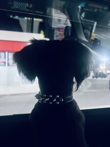 管理人のイメージ