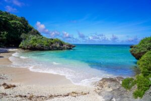 ジャングリアは恐竜だけじゃない！実際の体験談から見る“本当の楽しみ方”