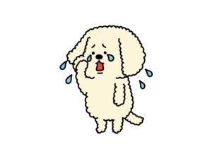 双極性障害と「寛解」への道｜安定を保つための体験談ブログまとめ