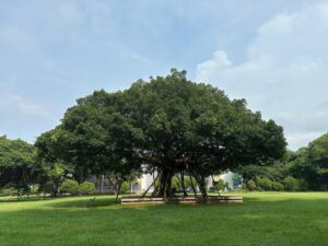 【体験談】不登校から大学進学、その先にあった壁