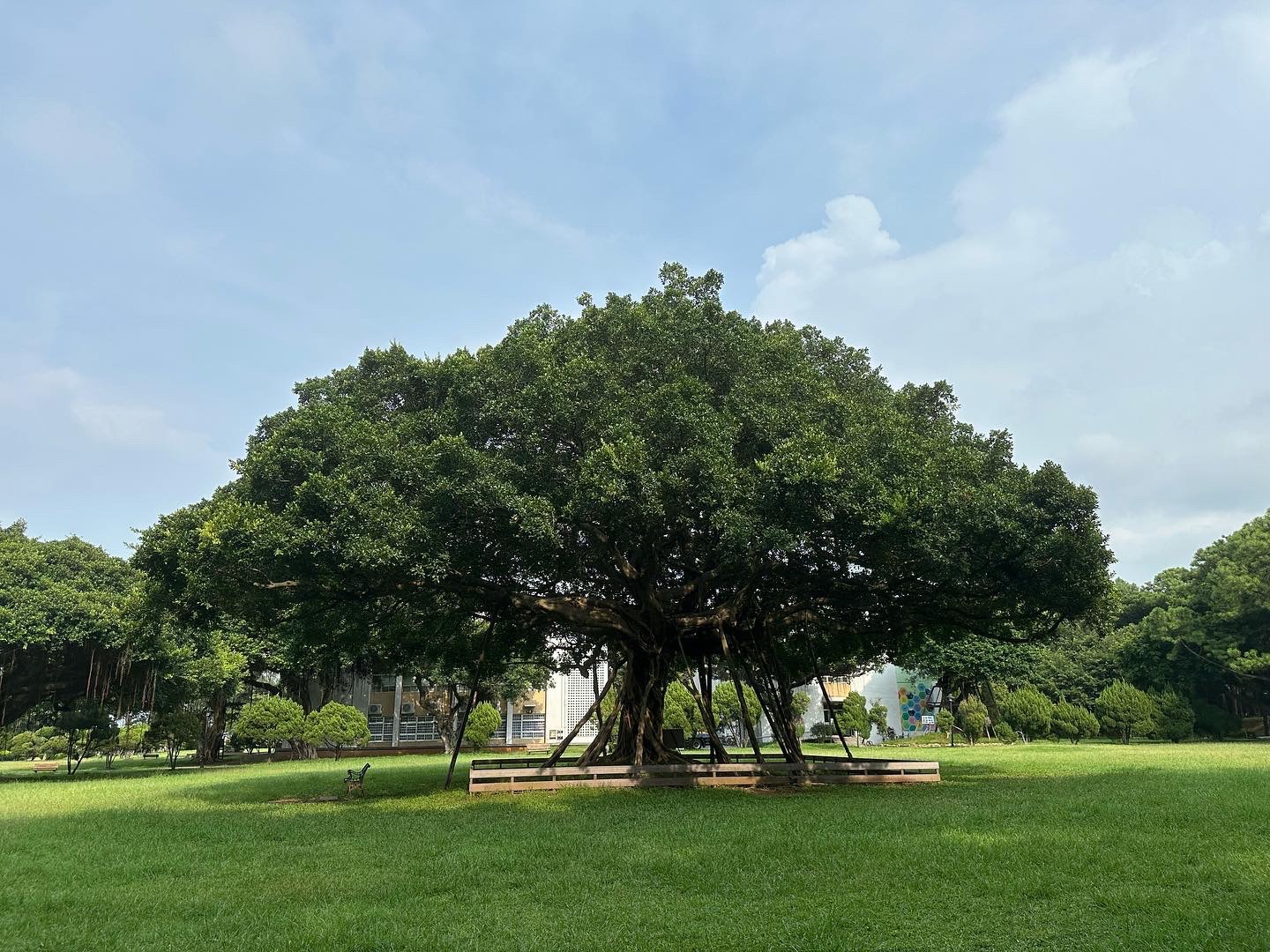 【体験談】不登校から大学進学、その先にあった壁