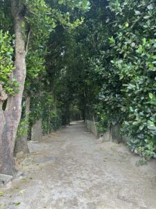 【体験談】不登校から復帰した人のあるある(？)